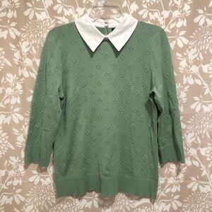 Women’s Sage Green Collared Academia Coquette Knit Floral Lightweight Sweater
